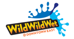 wildwildwet logo